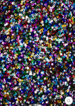 Sequin Embellished Multicolored Skirt
