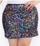 Sequin Embellished Multicolored Skirt