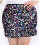 Sequin Embellished Multicolored Skirt