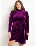 Royal Purple Velour Long Sleeve Dress