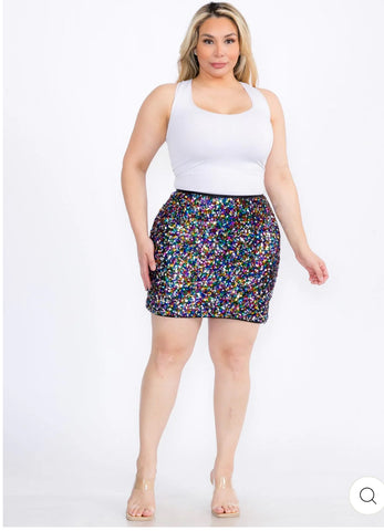 Sequin Embellished Multicolored Skirt