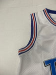 Vintage Tune Squad Basketball Jersey