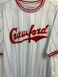 Vintage Pittsburgh Crawford Jersey