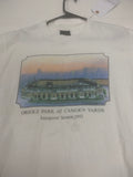 Vintage Baseball Stadium Graphic T-shirt