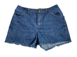 Vintage Denim Cut Off Shorts