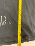 Vintage Coheed & Cambria Y2K Band Tee